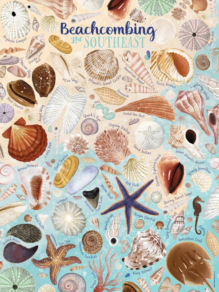 Beachcombing Puzzle