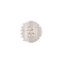 Sand Dollar Small Flat Hair Clip