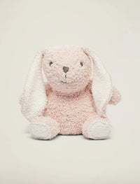 Bunny Buddy