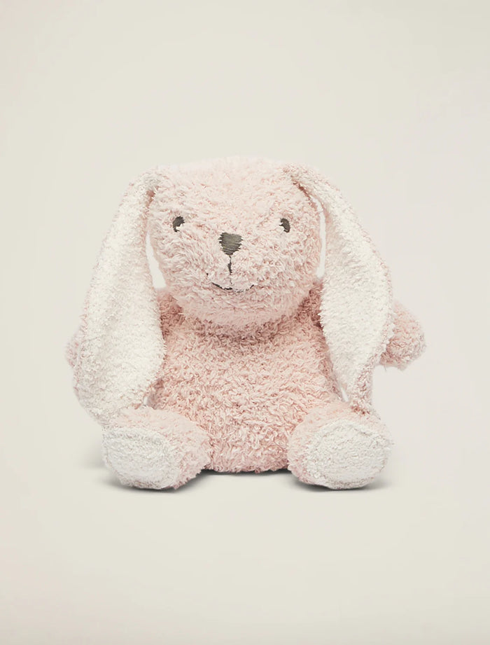 Bunny Buddy