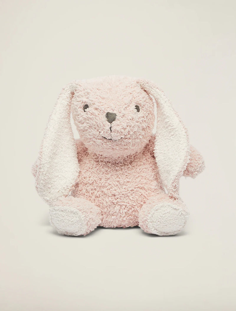 Bunny Buddy