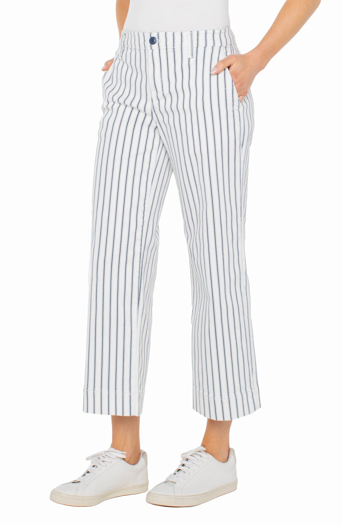 Vintage Indigo Stripe Wide Leg Crop Pant