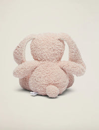 Bunny Buddy