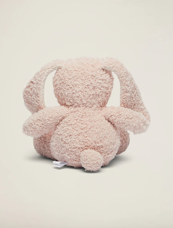 Bunny Buddy