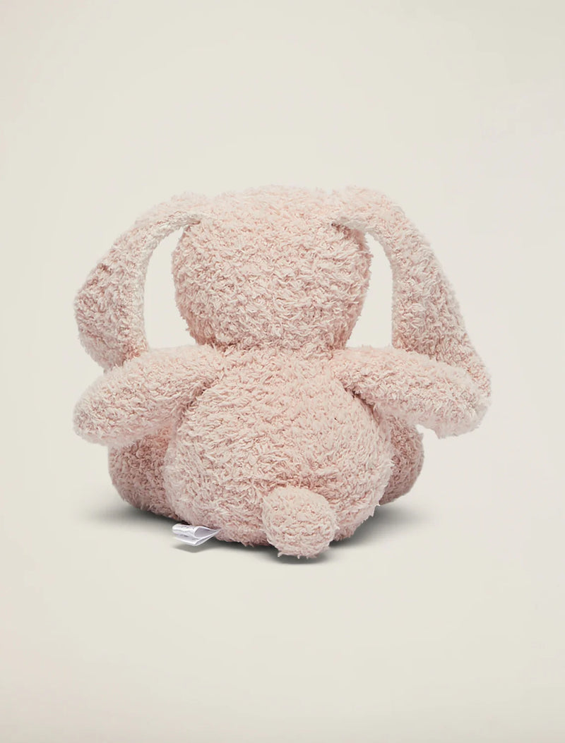 Bunny Buddy