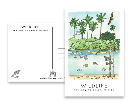 Wildlife Postcard